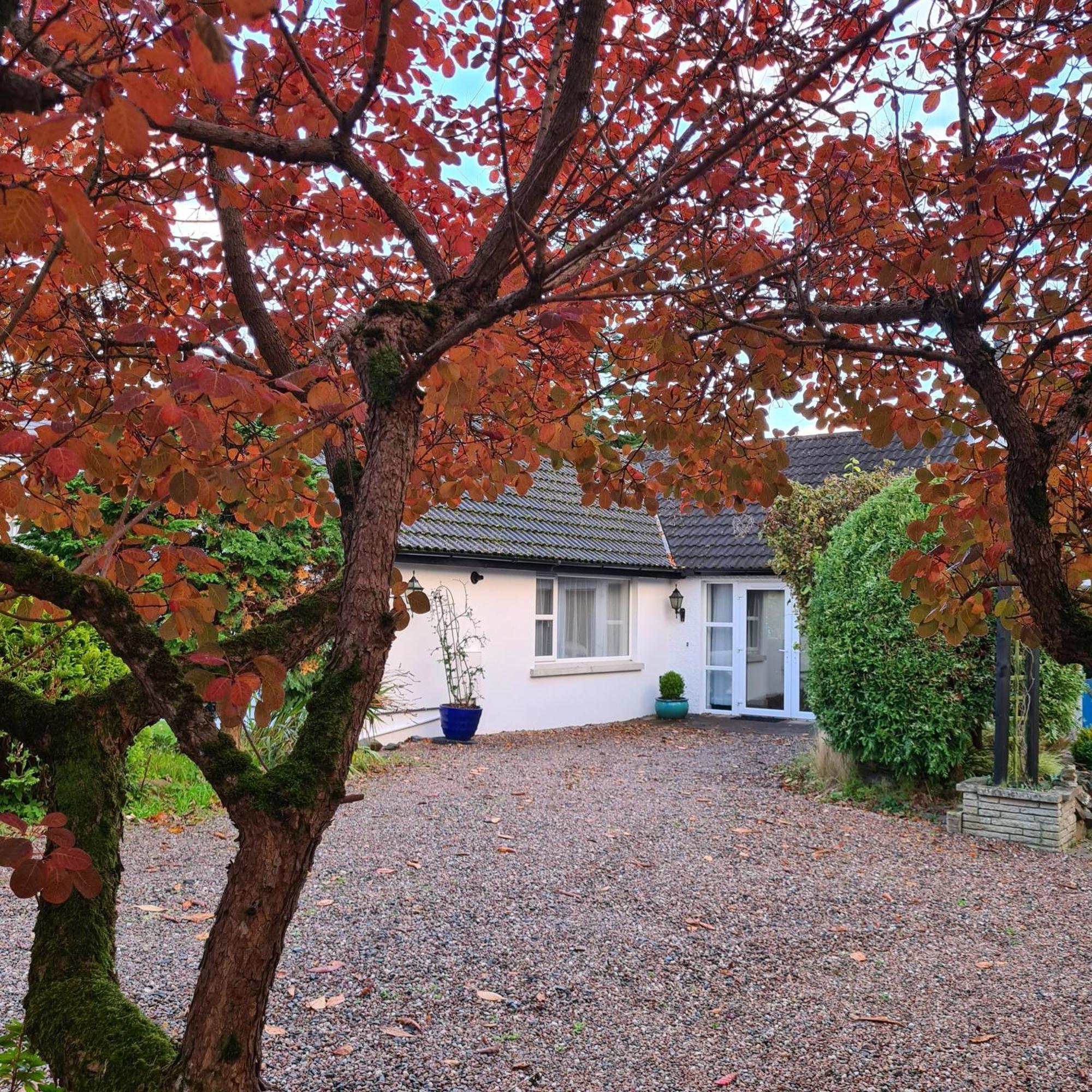 CultraNara Seaside Retreat公寓 外观 照片